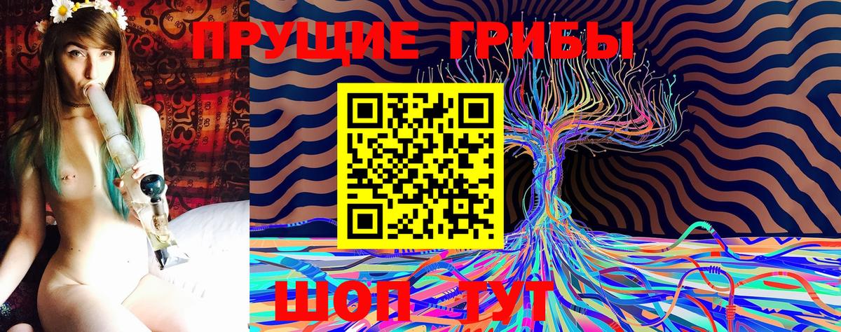 Котлас  Псилоцибиновые грибы мухоморы  Вход с VPN 